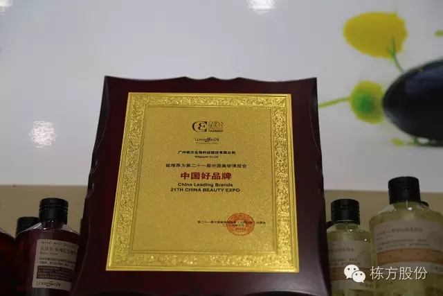 科技引領(lǐng)美麗▏棟方股份榮獲“中國(guó)好品牌獎(jiǎng)”！