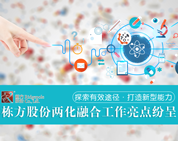 探索有效途徑，打造新型能力——棟方股份兩化融合工作亮點紛呈